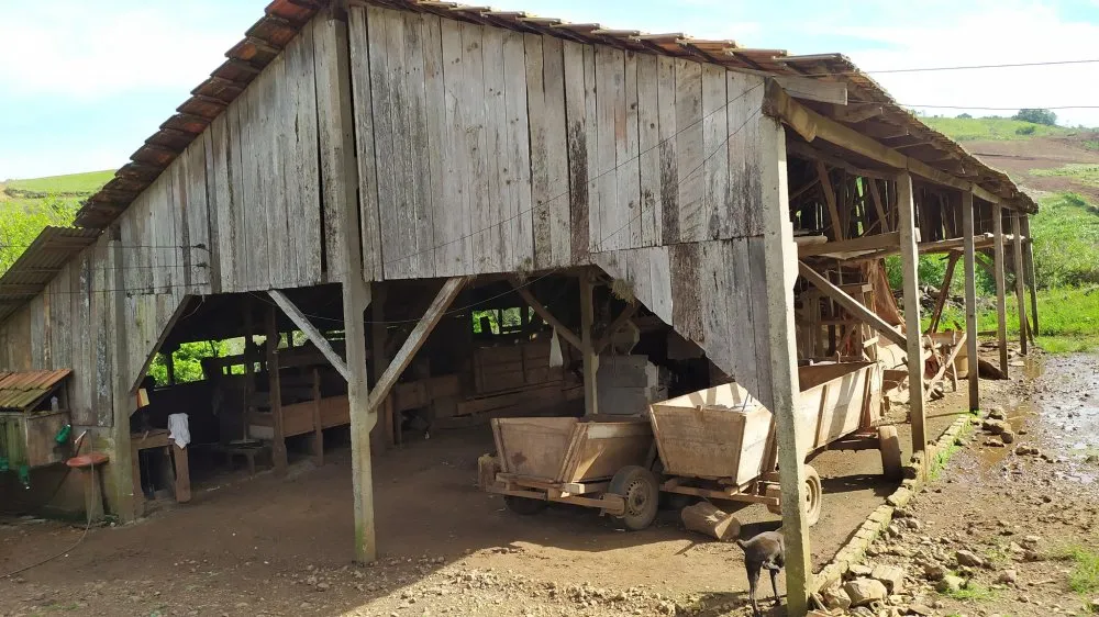 Sítio, 4 quartos, 12 hectares - Foto 14