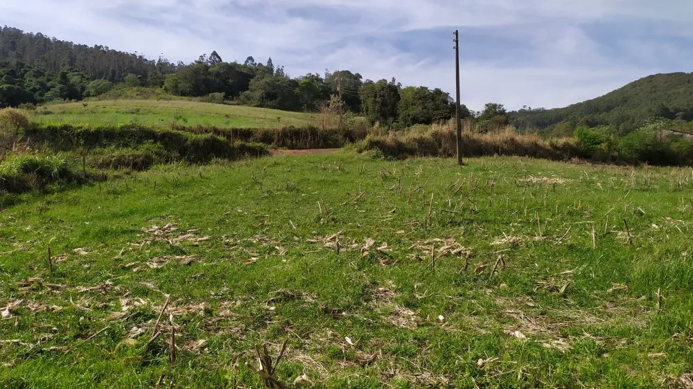 Sítio, 4 quartos, 12 hectares - Foto 6