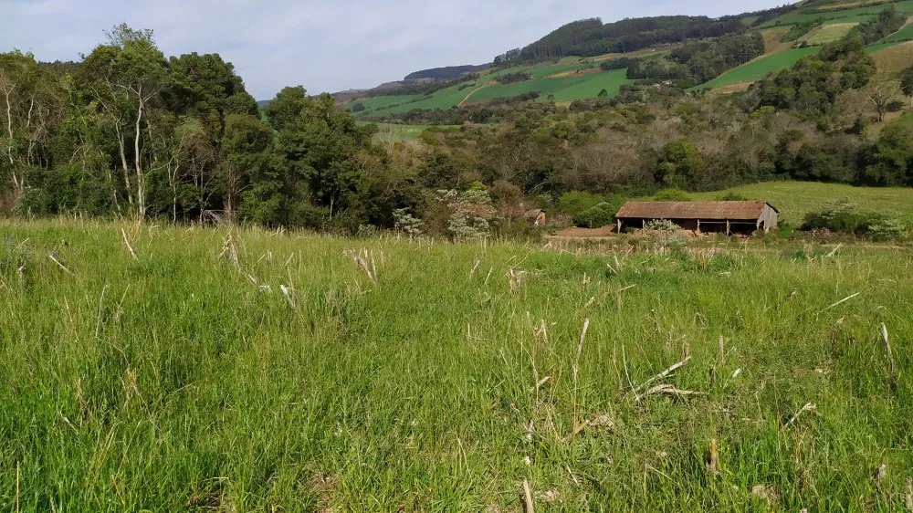 Sítio, 4 quartos, 12 hectares - Foto 18