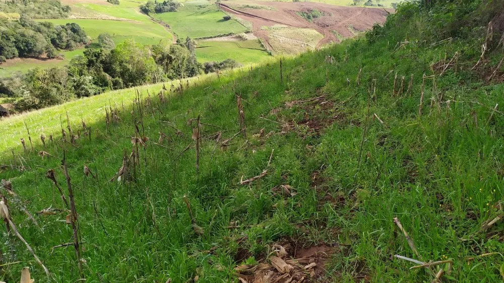 Sítio, 4 quartos, 12 hectares - Foto 9