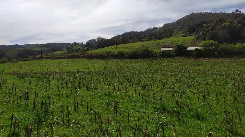 Sítio, 4 quartos, 12 hectares - Foto 3
