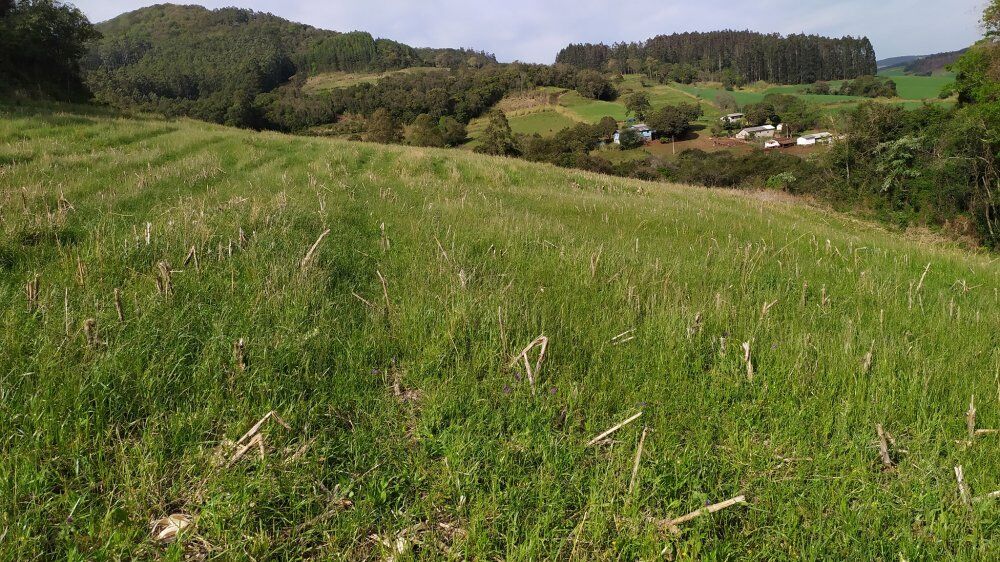 Sítio, 4 quartos, 12 hectares - Foto 4