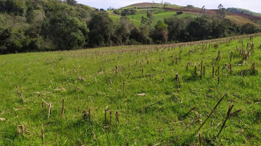 Sítio, 4 quartos, 12 hectares - Foto 4