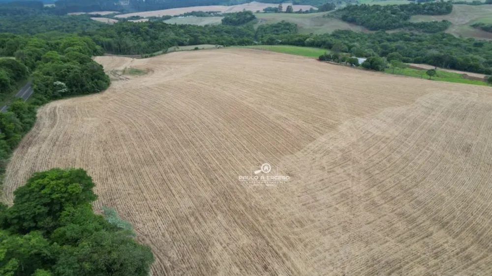 Fazenda, 24 hectares - Foto 11