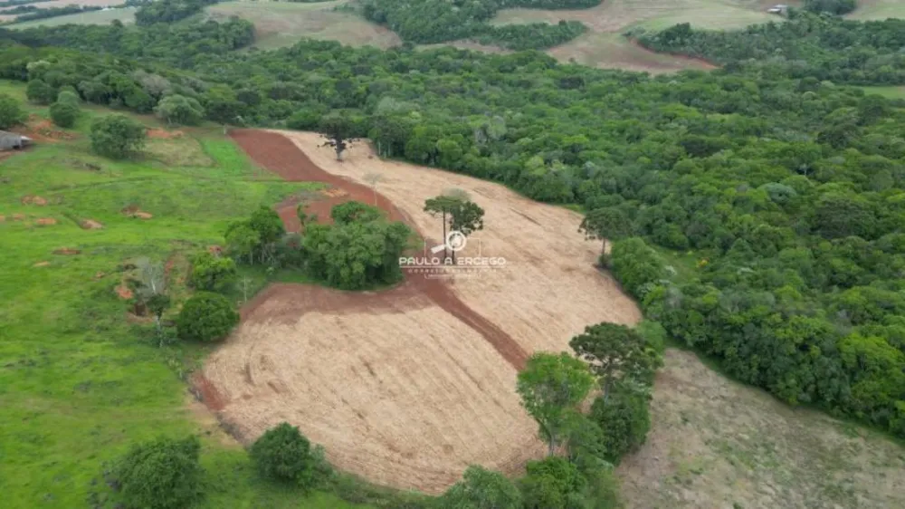 Fazenda, 24 hectares - Foto 3