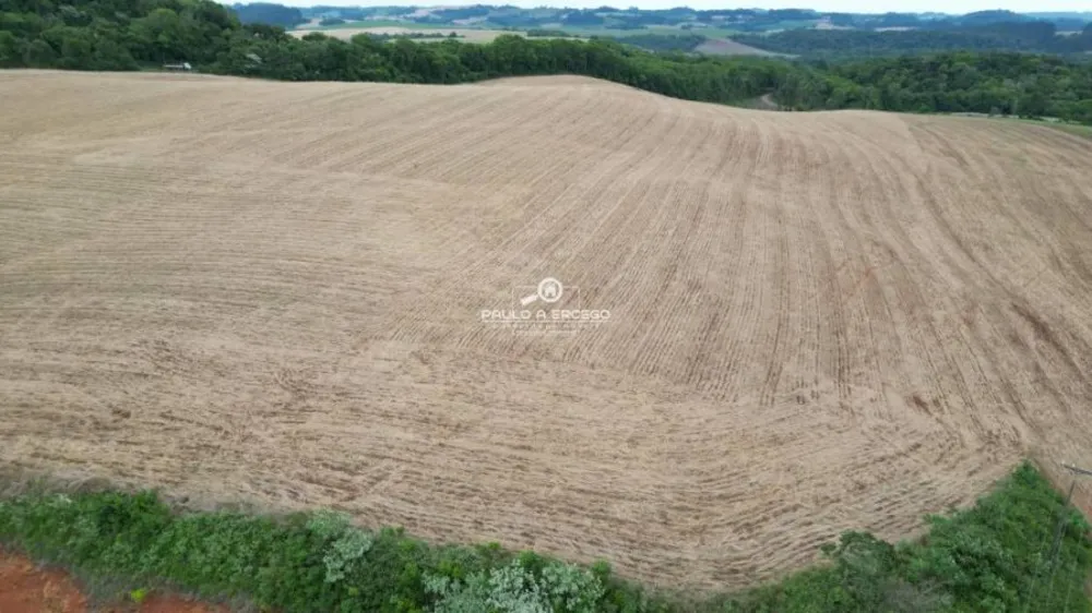 Fazenda, 24 hectares - Foto 1