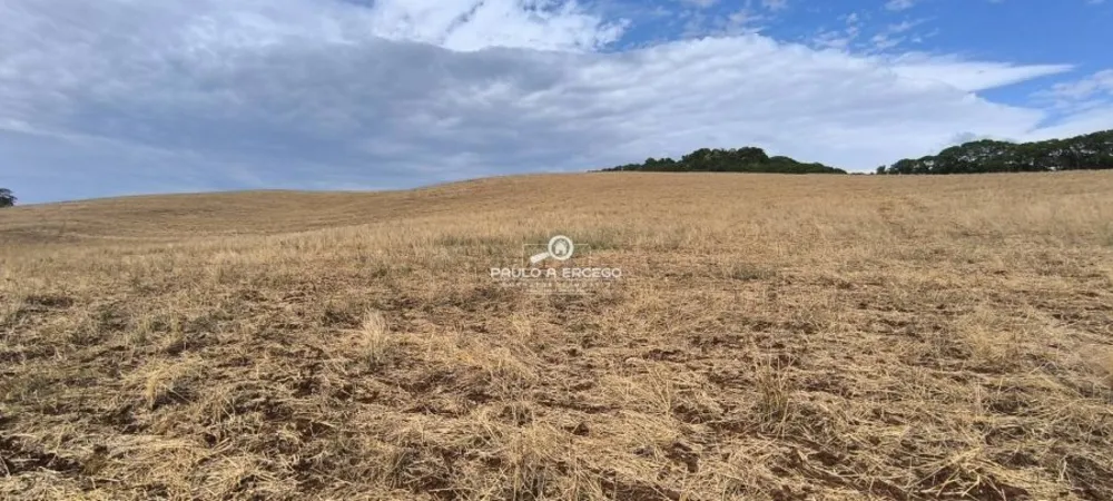 Fazenda, 24 hectares - Foto 12