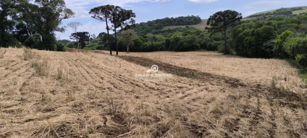 Fazenda, 24 hectares - Foto 4