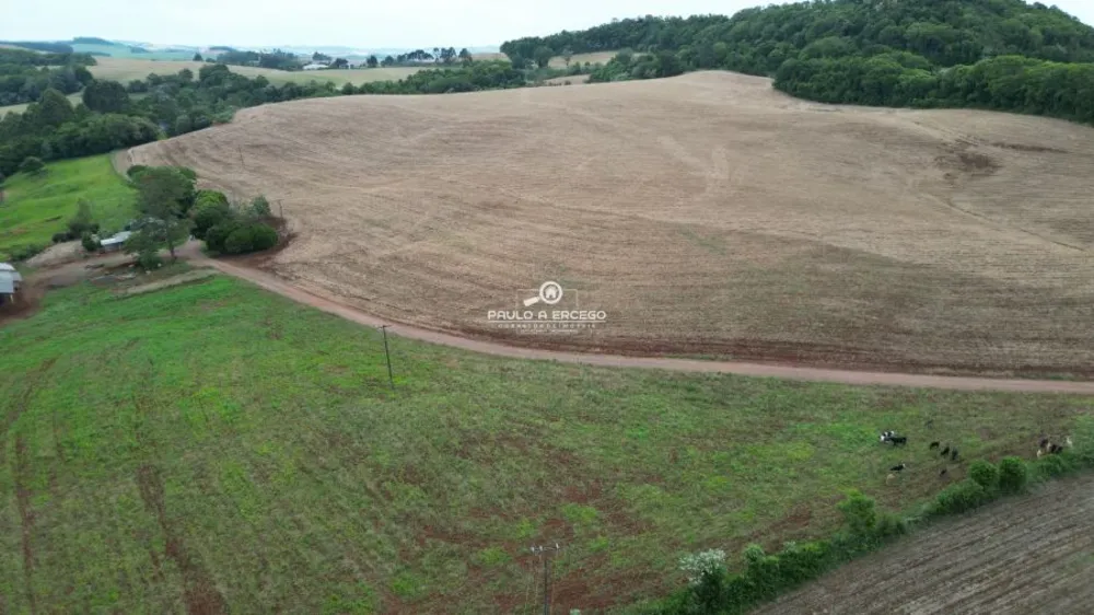 Fazenda, 24 hectares - Foto 6