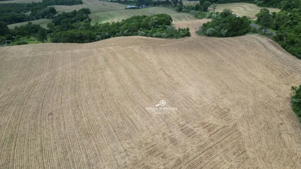 Fazenda, 24 hectares - Foto 8