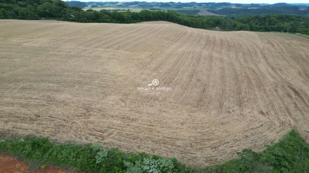 Fazenda, 24 hectares - Foto 9