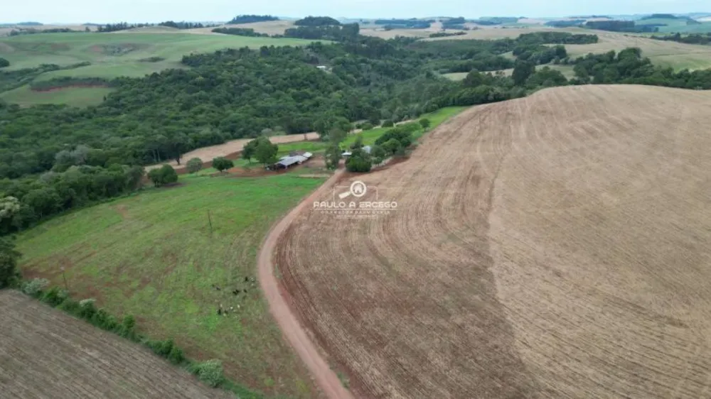 Fazenda, 24 hectares - Foto 2