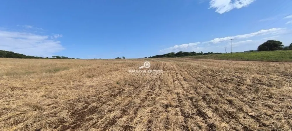 Fazenda, 24 hectares - Foto 10