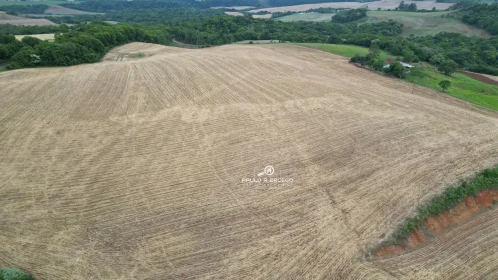 Fazenda, 24 hectares - Foto 7