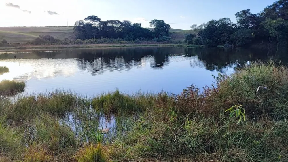 Fazenda, 15 hectares - Foto 7