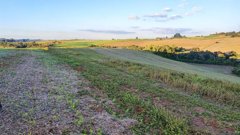 Fazenda, 15 hectares - Foto 8