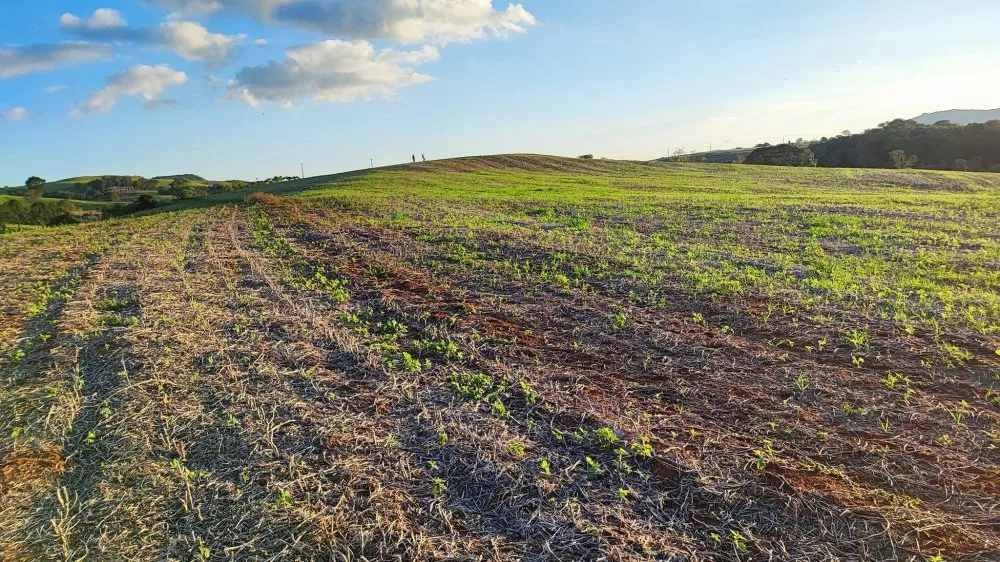 Fazenda, 15 hectares - Foto 11