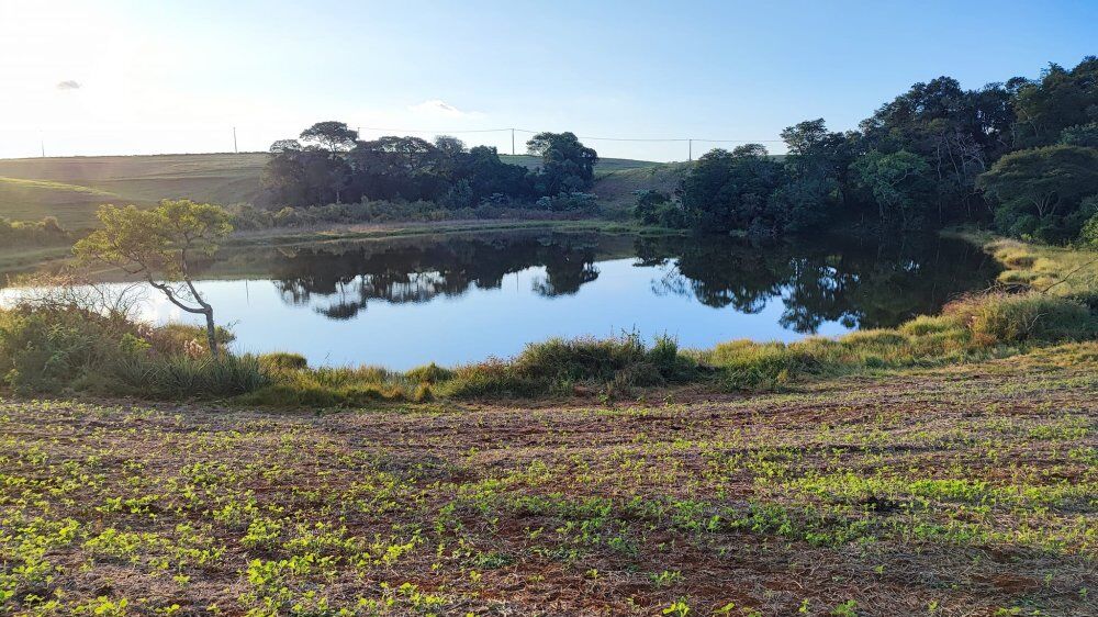 Fazenda, 15 hectares - Foto 1