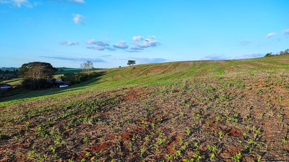 Fazenda, 15 hectares - Foto 2