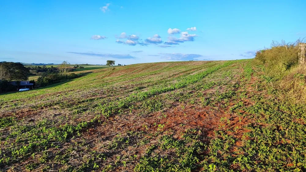 Fazenda, 15 hectares - Foto 10