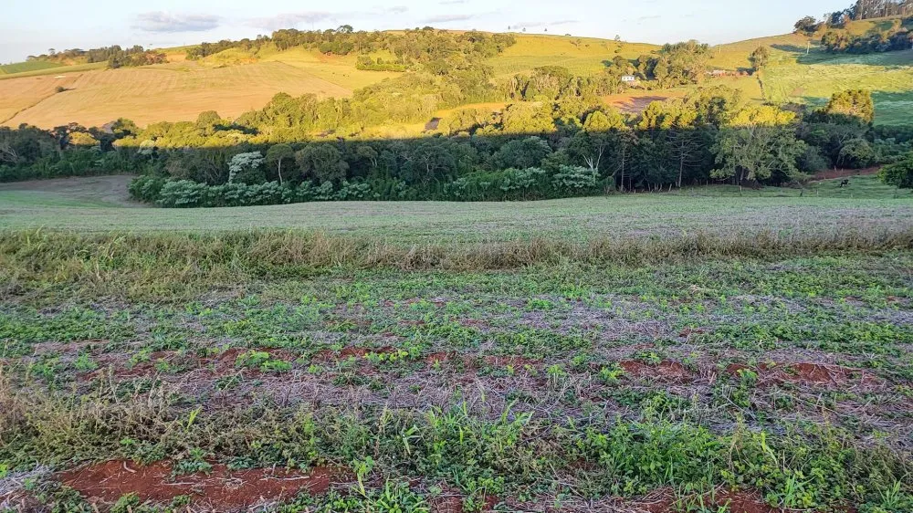Fazenda, 15 hectares - Foto 12