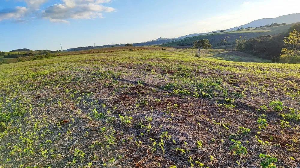 Fazenda, 15 hectares - Foto 9