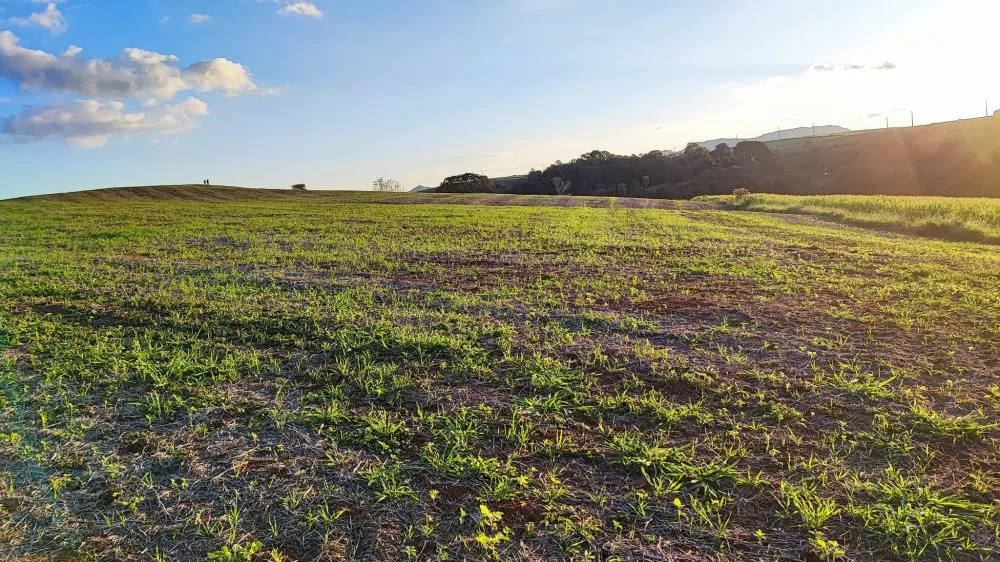Sítio, 15 hectares - Foto 6