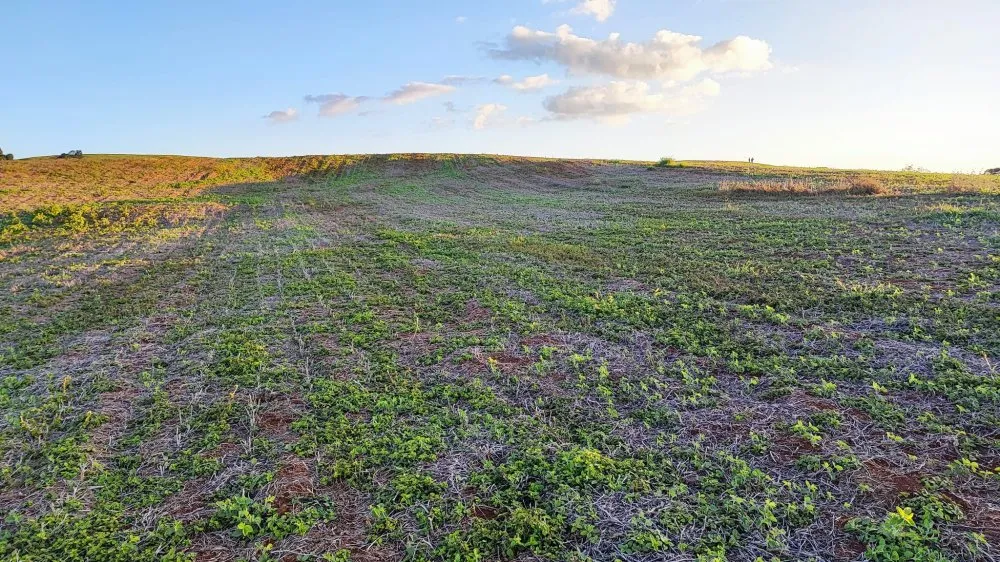 Sítio, 15 hectares - Foto 11