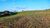 Fazenda, 15 hectares - Foto 2