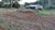 Fazenda, 15 hectares - Foto 4