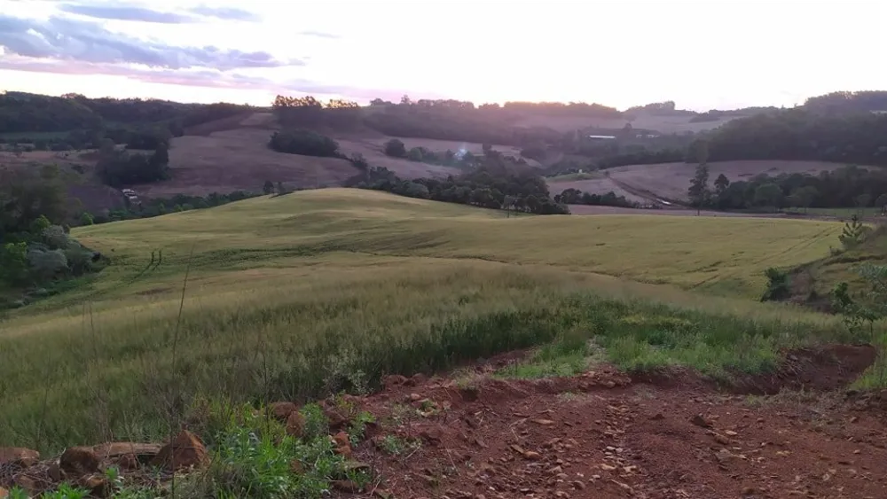 Fazenda, 49 hectares - Foto 10