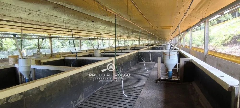 Fazenda, 10 hectares - Foto 9