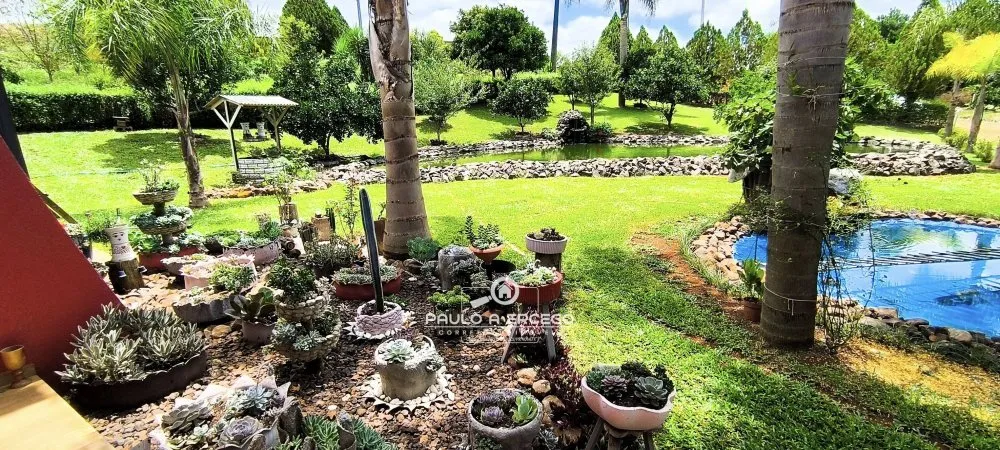 Sítio, 10 hectares - Foto 1