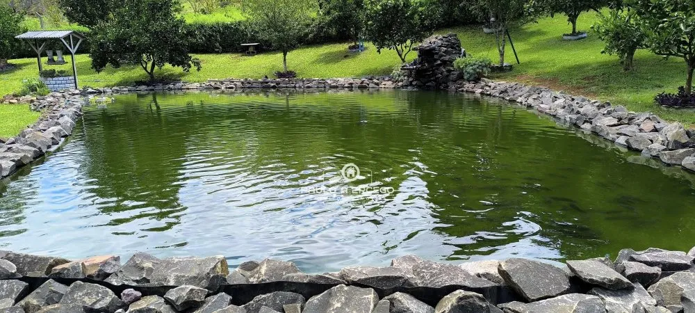 Fazenda, 10 hectares - Foto 10