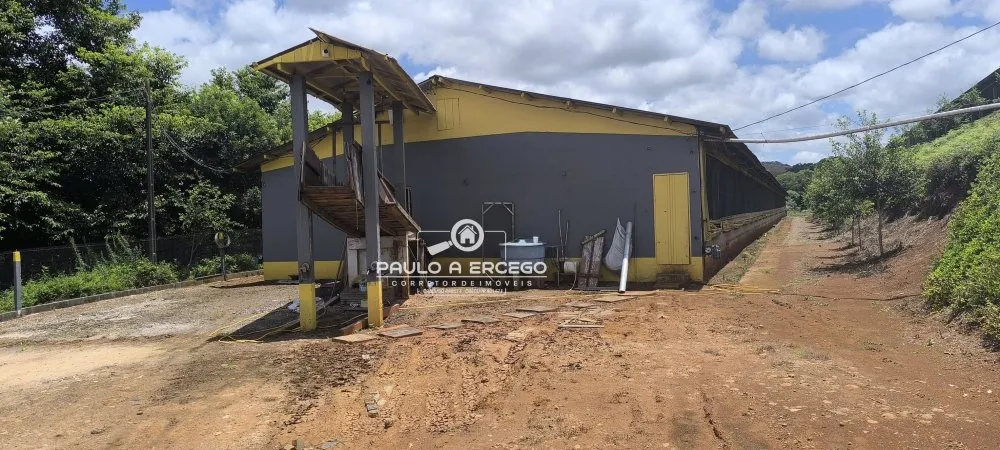 Sítio, 10 hectares - Foto 17