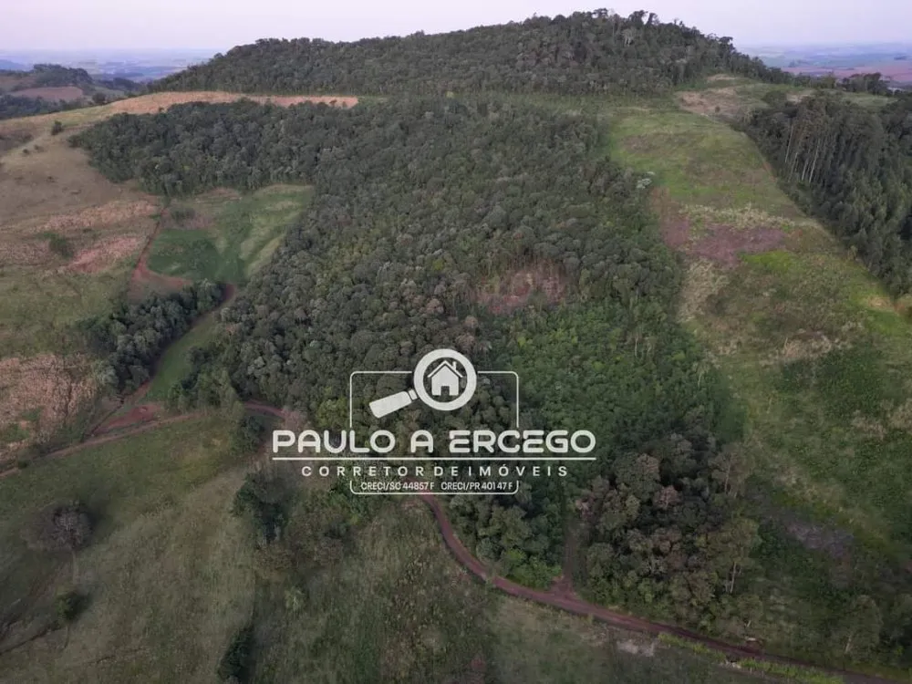 Sítio, 8 hectares - Foto 1