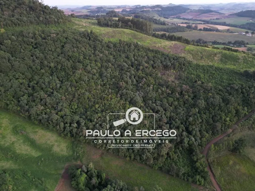 Sítio, 8 hectares - Foto 4
