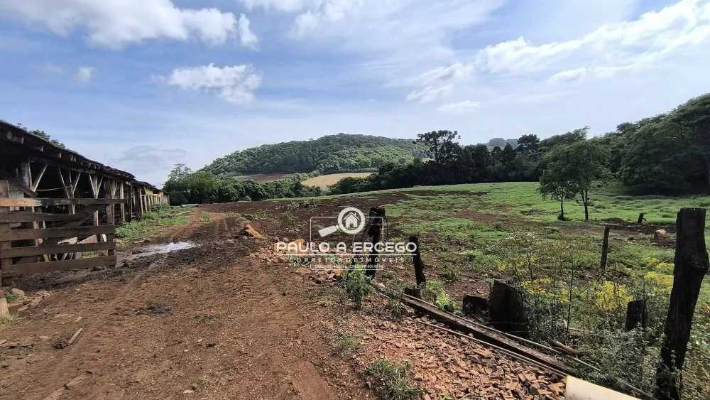 Sítio, 34 hectares - Foto 14