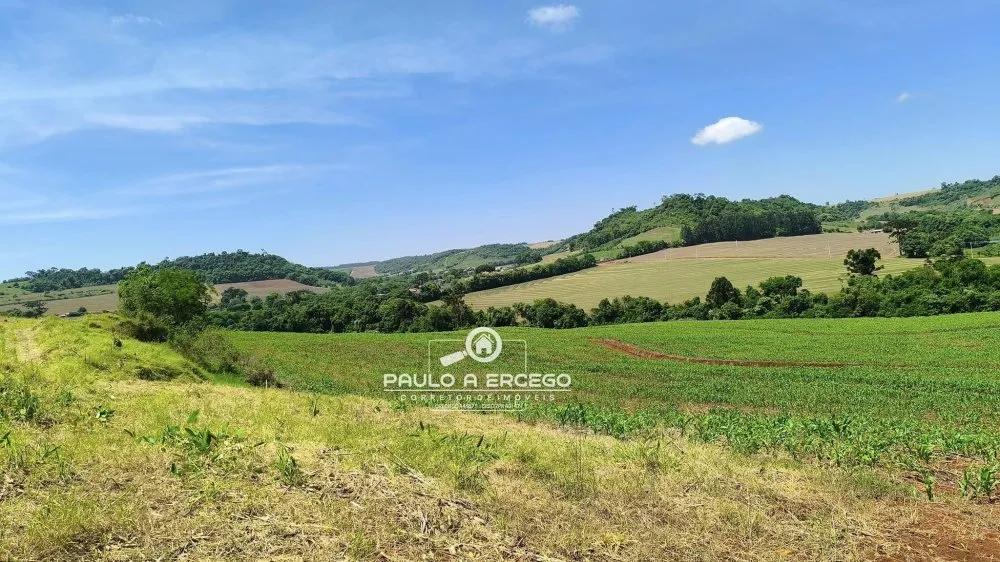 Sítio, 34 hectares - Foto 4
