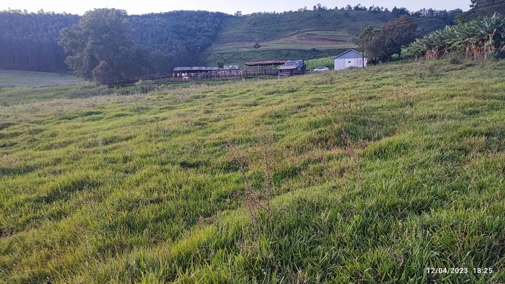 Fazenda, 24 hectares - Foto 15