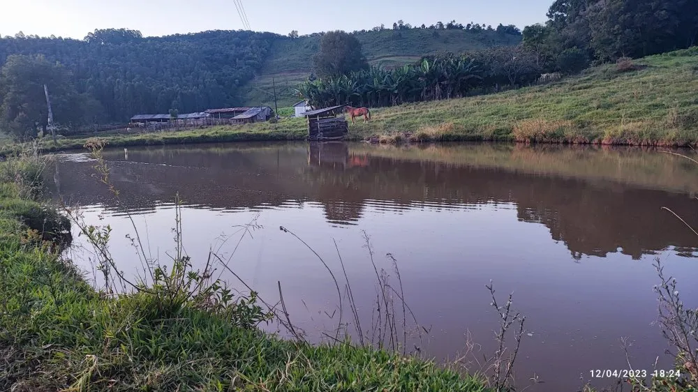 Fazenda, 24 hectares - Foto 8
