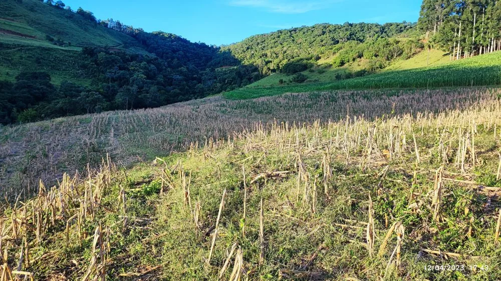 Fazenda, 24 hectares - Foto 1