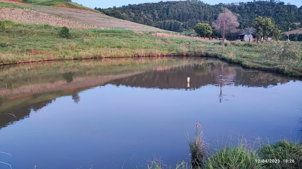 Fazenda, 24 hectares - Foto 7