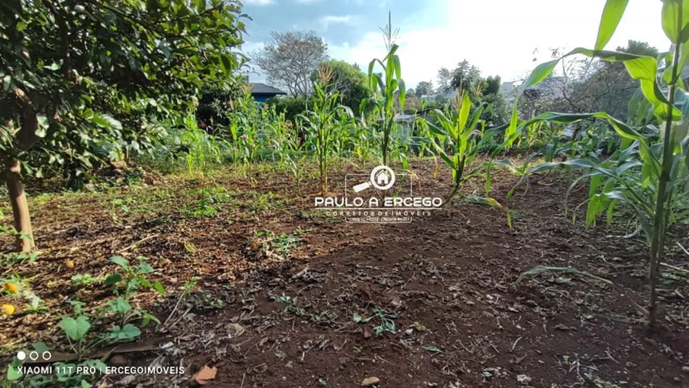 Terreno, 800 m² - Foto 7