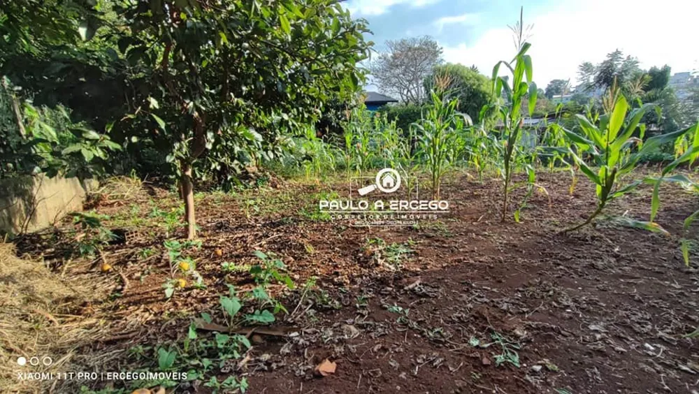 Terreno, 800 m² - Foto 10