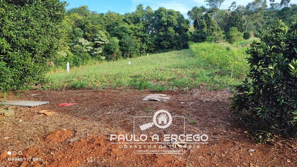 Casa à venda com 3 quartos, 2462m² - Foto 4
