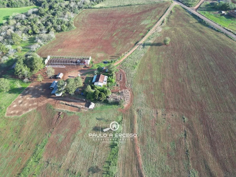 Sítio, 16 hectares - Foto 4
