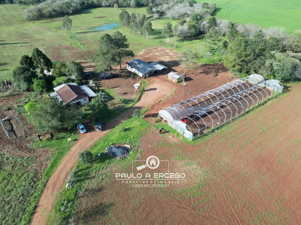 Sítio, 16 hectares - Foto 2