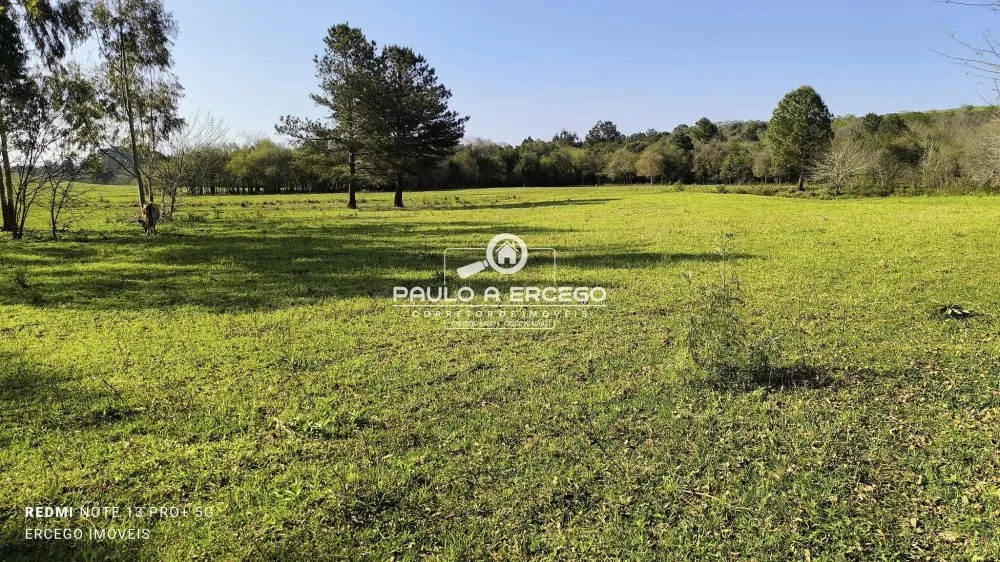 Sítio, 16 hectares - Foto 13