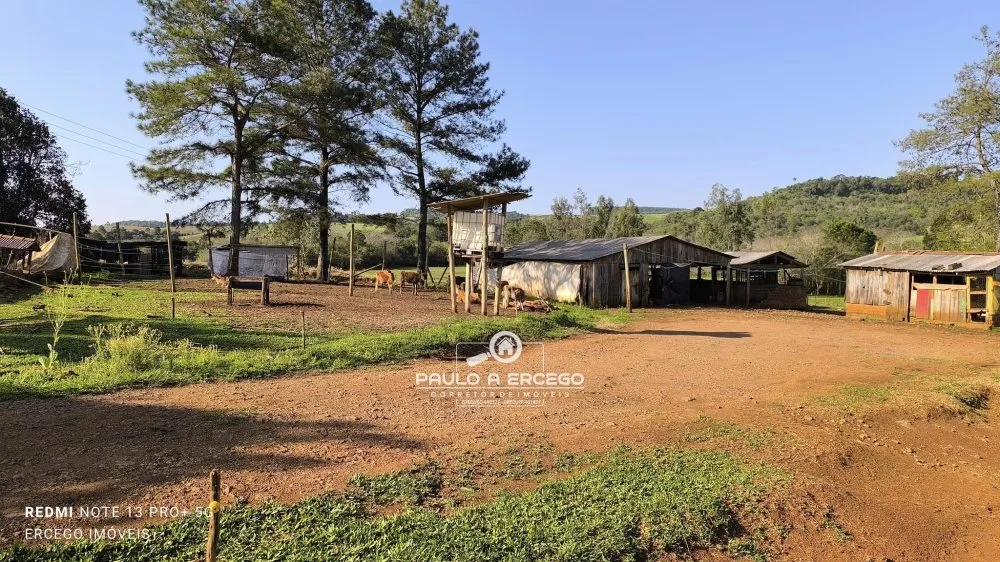 Sítio, 16 hectares - Foto 12